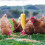 2Pcs Silver Iron Chicken Fruit Feeder Hanging Durable Veggies Holder 11
