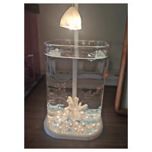 Acquario da Tavolo In Vetro con Luce LED, Ornamenti da Tavolo, Lampada Ornamentale di Alta Qualità per L'Allevamento Ittico A