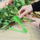 4Pcs Green Rose Thorn Remover Tool Durable Iron Plastic Floral Pruning 10