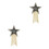 2Pcs Delicate Star Shaped Resin Patch Iron on DIY Clothes Decoration 4