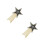 2Pcs Delicate Star Shaped Resin Patch Iron on DIY Clothes Decoration 5
