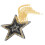 2Pcs Delicate Star Shaped Resin Patch Iron on DIY Clothes Decoration 9