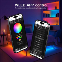 GLEDOPTO Elite WLED Controller Dynamic Mic Sound Reactive 20A Fuse Supports WS2811 WS2812 SK6812 TM1814 WS2813 Digital IC