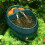 Reptile Water Fountain ABS, Bearded Dragon 10