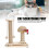 2-Layer Ball Track Cat Scratching Post with Turntable and Wand 4