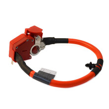 4X Cavo Batteria Positivo per Auto 61128796155 per Serie 3 4 G20 G21 G22 G23 2019-2022 Cavo di Protezione Cavi Batteria