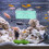 Groene ABS Tunnel Fish Tank Decor Betta Vis Verblijf 5