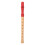 Flûte À Bec Soprano Bois Instrument Débutant École 1
