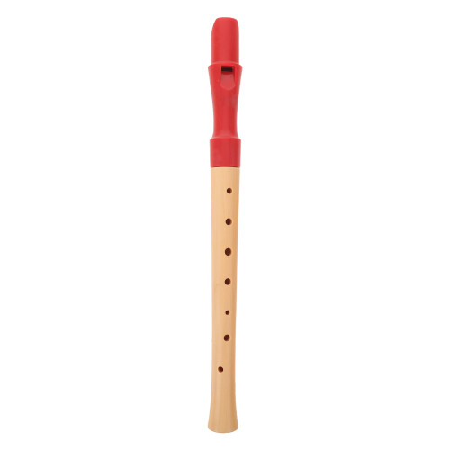 Flûte À Bec Soprano Bois Instrument Débutant École