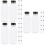 36Pcs Large Capacity Black Plastic Juice Bottles Lid 8