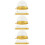 150Pcs Clear Plastic Dome Boxes for Cupcakes Pastries Storage 1