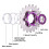 ZTTO Bicycle Flywheel Single Speed Gear 21T Single Gear Fixed Bicycle Sprocket 9