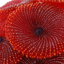 2X Artificial Aquarium Fish Tank Decoration Coral Sea Plant Ornament Silicone Nontoxic Red