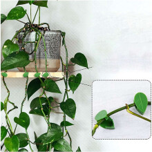 480Pc Plant Climbing Wall Fixture Clips Plant Fixer Vines Garden Green Leaf Plant Wall Clips Vines Holder for Wall Decor