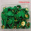 (Green) 13-Color Plastic Push Pins, 100Pcs, Flat Head 1