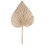 Folhas de Palmeira Secas para DecoraçãO de Quarto 30 PeçAs - 18 Polegadas H X 10 Polegadas W  DecoraçãO Natural em Folha de Palmeira para um 8