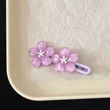 (5) Floral Hair Clips for Women & Girls, 2pcs