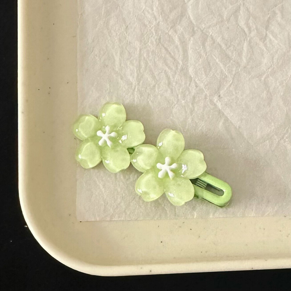 Dachuang Beauty (6) Floral Hair Clips For Women & Girls, 2Pcs