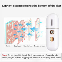 2X Vapeur Facial Portatif, Humidificateur Facial Usb, Pulvérisateur Facial , Machine de Pulvérisation de Brouillard de Vapeur Faciale