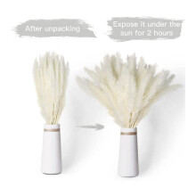 80Pcs Natural Dried White Pampas Grass 45CM Fluffy and Swinging DIY Boho Plant for Wedding Flower Arrangements Decor