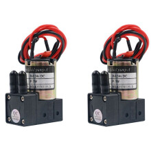 2X 3W Ink Pump Indoor and Outdoor Photo Machine Oil Suction Pump Liquid Pump 24V Diaphragm Pump