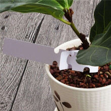 6000Pcs 8 Inch Wrap Around Plant Tags, Outdoor Waterproof Hanging Gardening Labels, 2X21cm White Plastic Plant Tree Tags