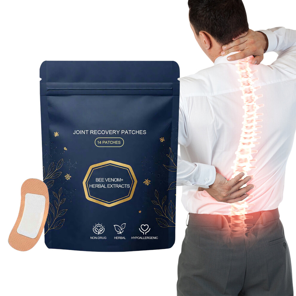 Dachuang Beauty 14Pcs Herbal Joint Pain Relief Patch For Elderly