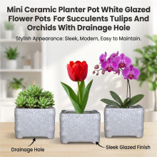 (04) White Ceramic Planter with Drainage Hole