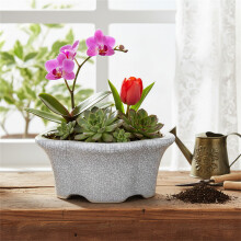 (05) White Ceramic Planter with Drainage Hole