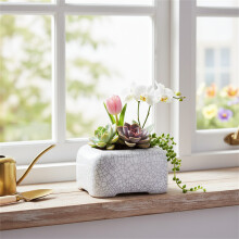 (03) White Ceramic Planter with Drainage Hole