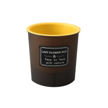 (Yellow, 80#) Matt PP Resin Planter for Succulents, 50 Char