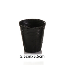 (XS) 50 Pots Pépinière Plastique Sacs Semis