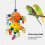 (Bagged) Colorful Bird Chew Toys for Cage 3