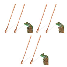 6Stk Reptilien Futterlöffel Aus Golden Vielseitig Tragbar