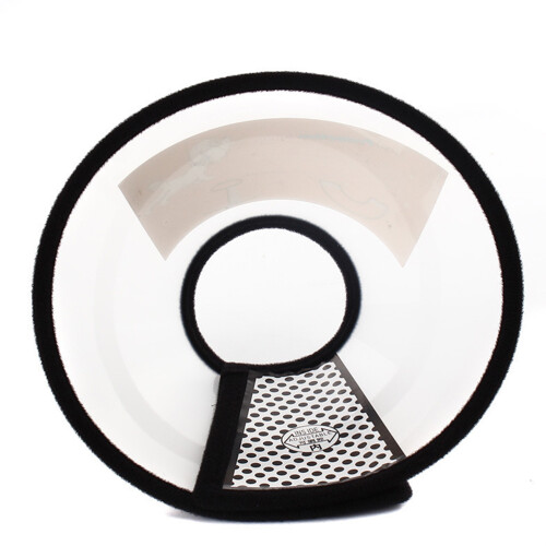 Elizabeth Halsband Elizabeth Beißring Haustier 1
