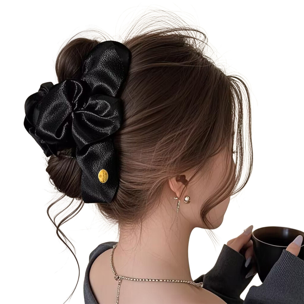 Dachuang Beauty (2) Satin Hair Claws For Women & Girls, 50 Char