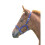 (Foal/Mini, Royal Blue) Shires Foal Headcollar 1