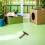 Toilettage Animaux Anti-Nœuds Doux Métal Multi Usage 7