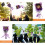 3Pièces Bouquet Violet Ours Pour Cérémonie Graduation 7