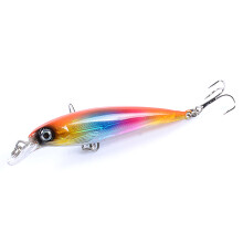 (1) Deep Diving Minnow Lure - Hard Plastic Fishing Bait