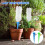 (12pcs)Sistema automático de picos de riego automático jardín hogar maceta herramienta riego 2