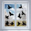 Hummingbird Static Window Stickers, Non-Adhesive Decor 1
