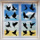 Hummingbird Static Window Stickers, Non-Adhesive Decor 8