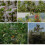 Branch Spreaders Plant Stem Traine Fruit Tree Branch Puller Tying Machine Farm Tools New Plum Tree Open Angle Pull 3