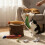 Chewable Plush Cat Toy for Teeth Cleaning 5