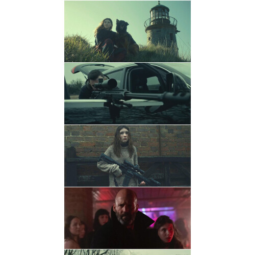 Shelter (2026) Blu-ray 1080P BD 1