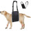 Dog Mobility Support Sling Harness for Back Legs 1