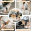Dog Mobility Support Sling Harness for Back Legs 4