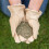 Westland Gro-Sure Fine & Luxurious Lawn Seed 100m² 3