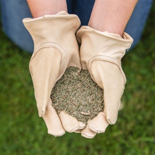 Westland Gro-Sure Fine & Luxurious Lawn Seed 100m² 2